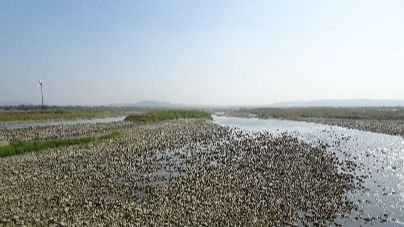 細懸浮微粒空品應變結報