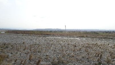 細懸浮微粒空品應變結報