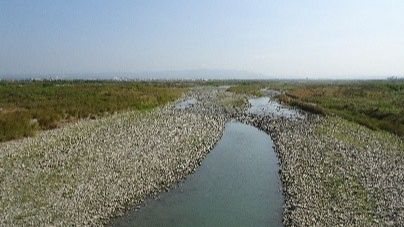 臭氧八小時及細懸浮微粒空品應變結報