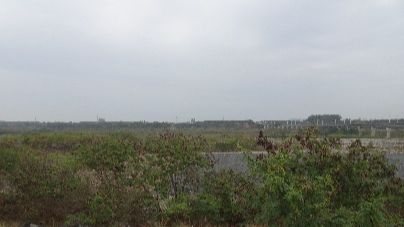 細懸浮微粒空品應變結報