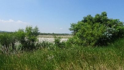 懸浮微粒空品應變結報