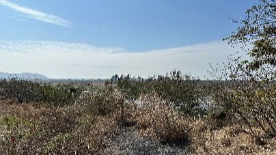 細懸浮微粒空品應變結報