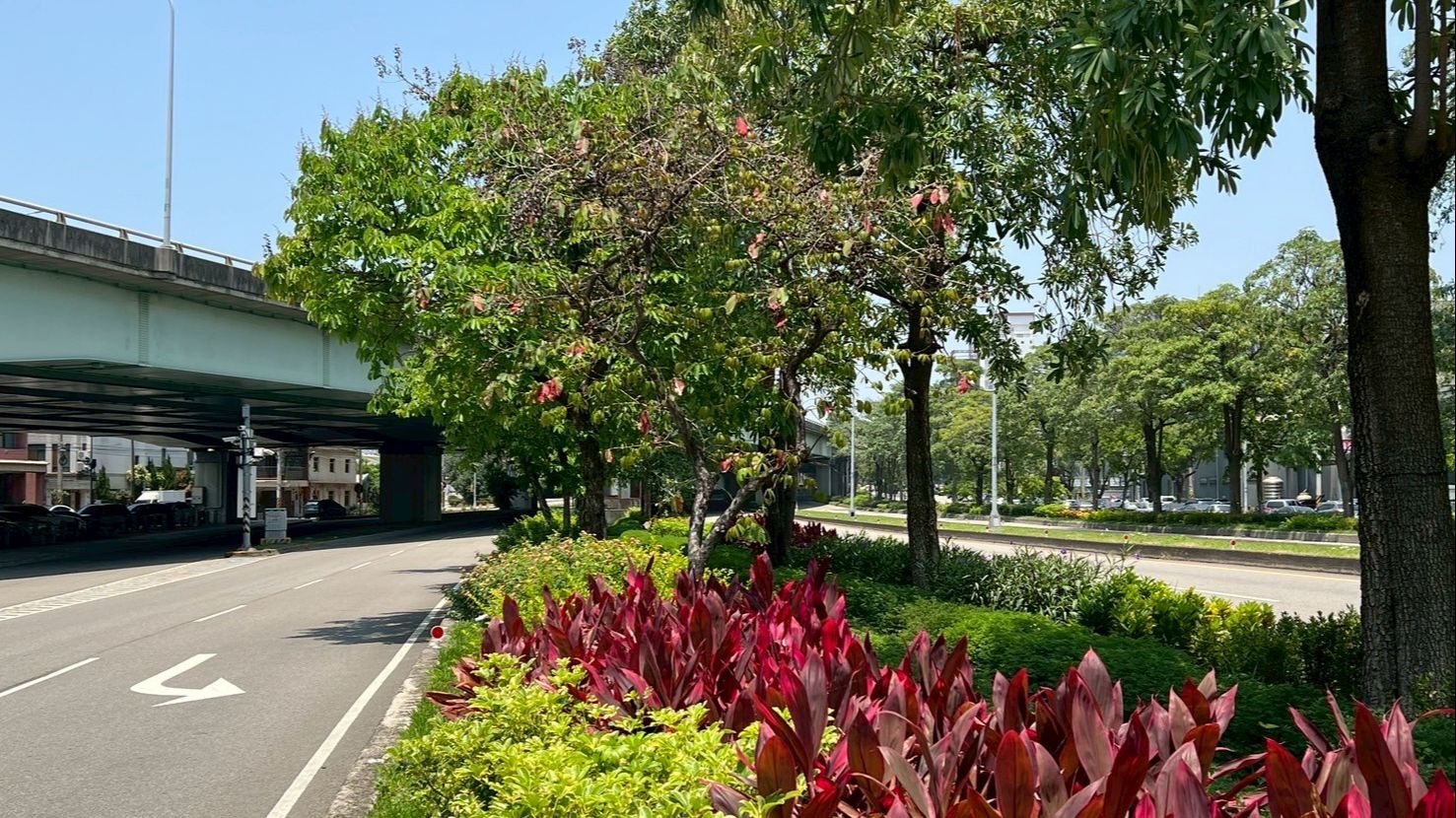 公私協力打造城市綠廊！中市府媒合8企業投入逾3億元參與城市綠化建設