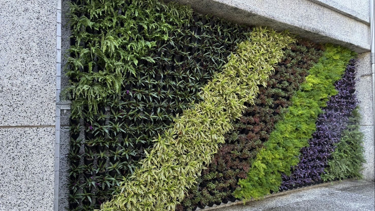 中市環保局推「廣植栽、廣植林」 輔導學校、社區、企業共同打造花園城市