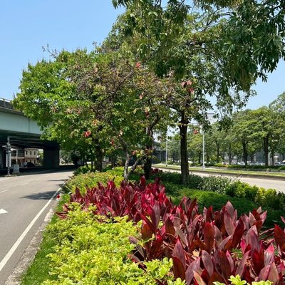 公私協力打造城市綠廊！中市府媒合8企業投入逾3億元參與城市綠化建設